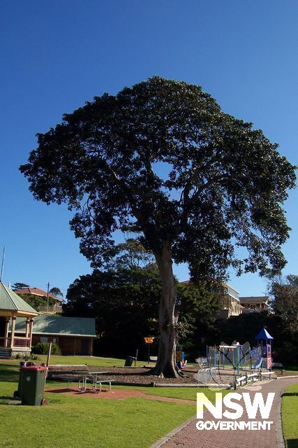 Little Park.