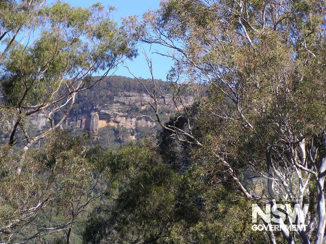 Tongarra Mine Site.