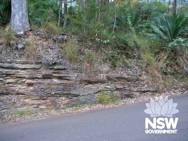 Faults - View from Cabarita Road intersection