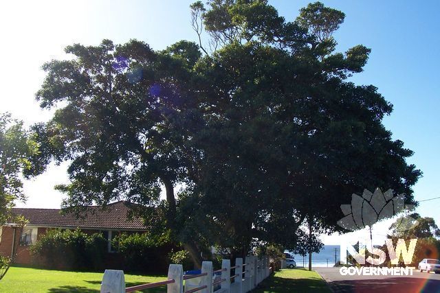 St Pauls Anglican Church