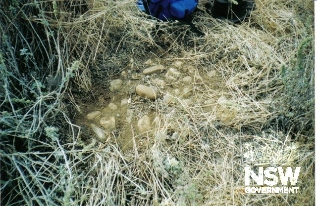 Wellington Valley Settlement Site