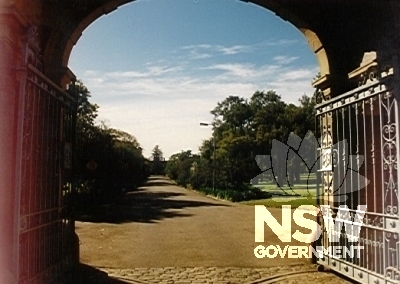 Thomas Walker Convalecense Hospital Grounds - western avenue and pine focus from gatehouse Hospital Road.
