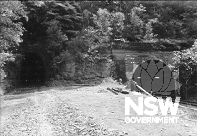 Lilyvale railway tunnels