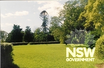 'Yaralla' Estate - Bunya pine, camphorlaurels and hedging to north west of entry drive beyond inner gate house.