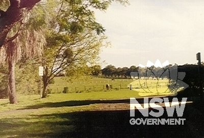 'Yaralla' Estate - paddock with brush box avenue.