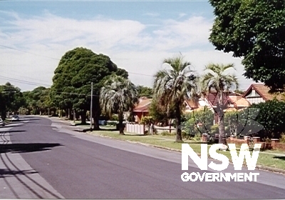 Yaralla Estate, streetscape