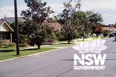 Yaralla Estate, streetscape