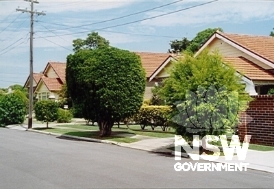 Lindfield Avenue, streetscape
