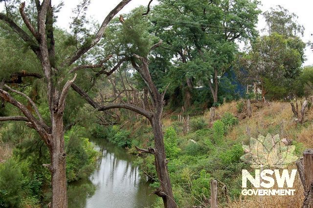 Stonequarry Creek, an important feature of the Area.