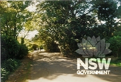 'Yaralla' Estate - trees and shrubbery just south west of the mansion.