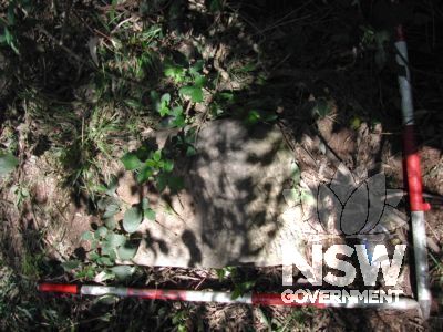 The east side of the culvert showing the collapsed top three courses. Despite the failure of the culvert, the sandstone blocks are still in good condition and should be reinstated.