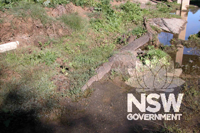 Piles and bottom lateral of old bridge pier