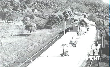 Coledale Station, View from South, 1960.
