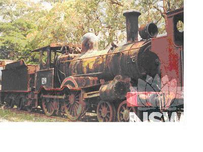 Steam Locomotive 1219 at Broadmeadow Locomotive Depot, No.1. Roundhouse, 15 Road.