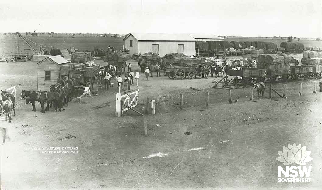 Arrival and departure of horse teams at the Moree Rail Yard, n.d