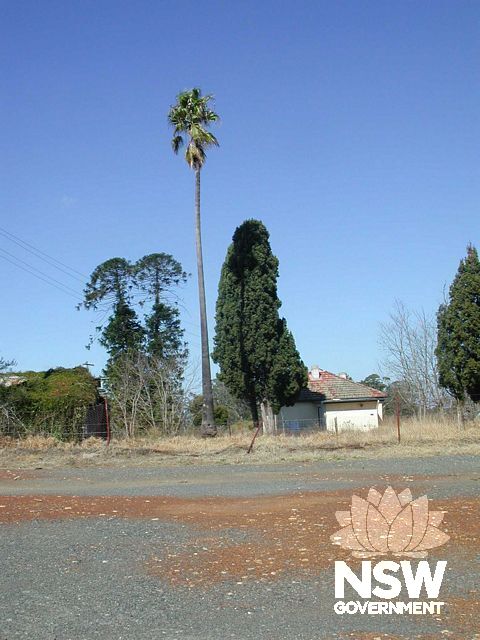 Berkshire Park Homestead Site from NW
