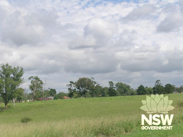 The creekside pasture