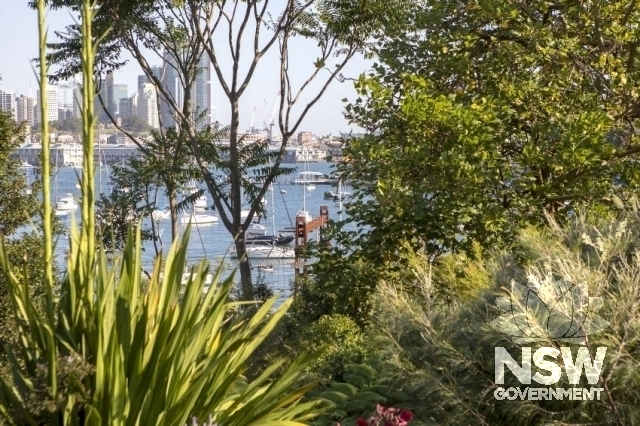 Lavender Bay Railway Group - Garden areas, known as Wendy Whiteley gardens.