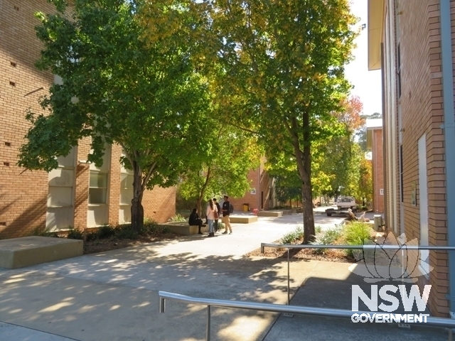 Blocks T2 & T3: Main north-south landscaped walkway between the blocks