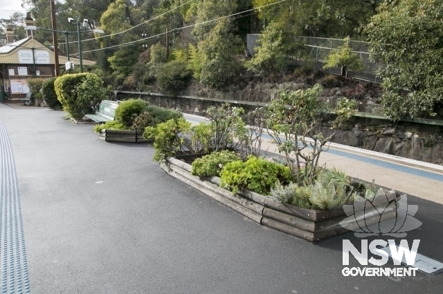 Woodford Railway Station Group - Station platform and garden