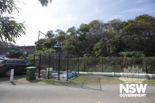 Cronulla - Linear Cultural Exotic Planting of Rail Embankment - General state of the garden.
