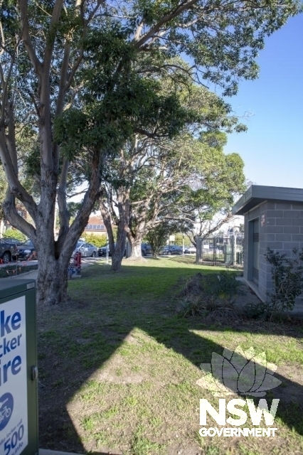 Concord West Railway Station Park - South end of garden, Box Brush trees, sandstone edge path