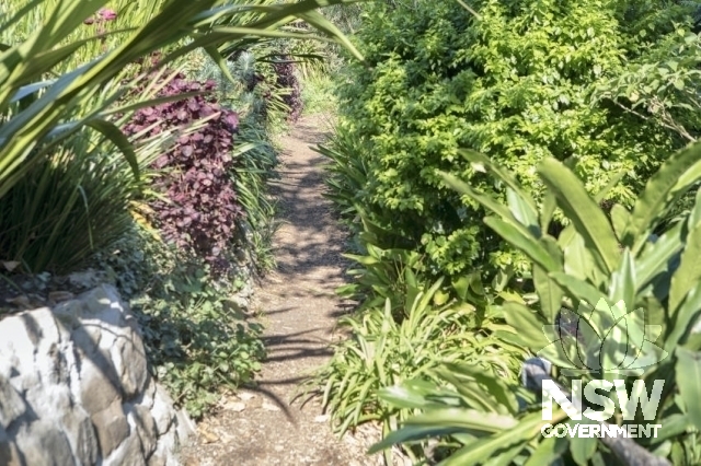 Lavender Bay Railway Group - Garden areas, known as Wendy Whiteley gardens.