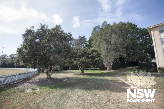 Cronulla - Linear Cultural Exotic Planting of Rail Embankment - General state of the garden.