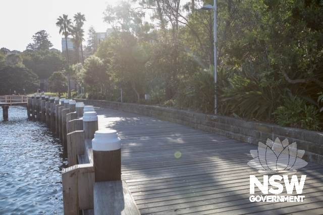 Lavender Bay Railway Group - Garden areas, known as Wendy Whiteley gardens, rail corridor and water.