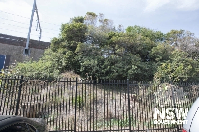 Cronulla - Linear Cultural Exotic Planting of Rail Embankment - General state of the garden.