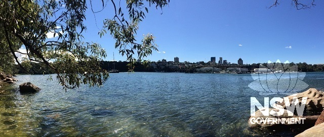 View from eastern side of Berry Island Reserve, looking across Balls Head Bay.