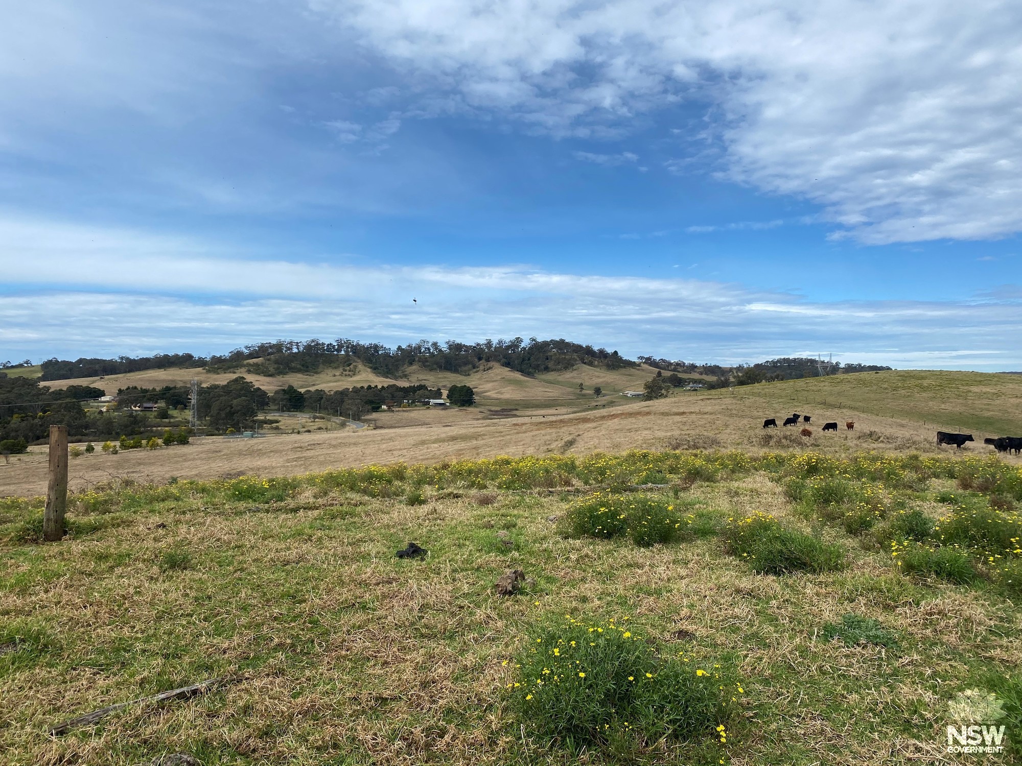 View from (Area 3) Lachlan Vale