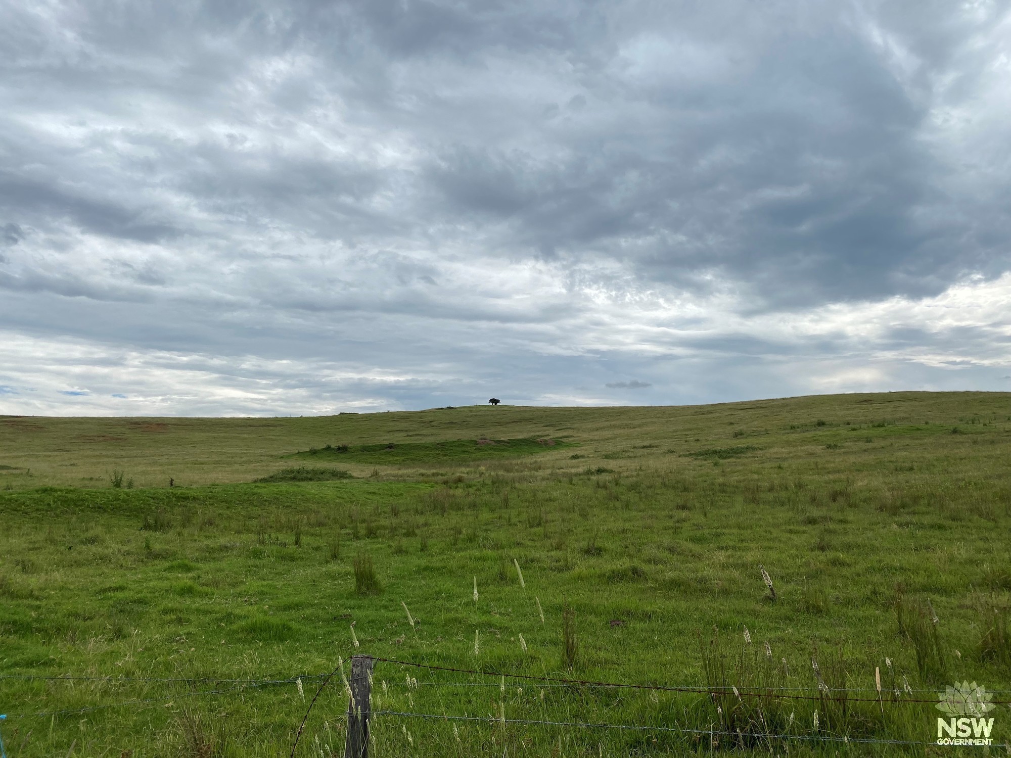 One Tree Hill at Lachlan Vale (Area 3)