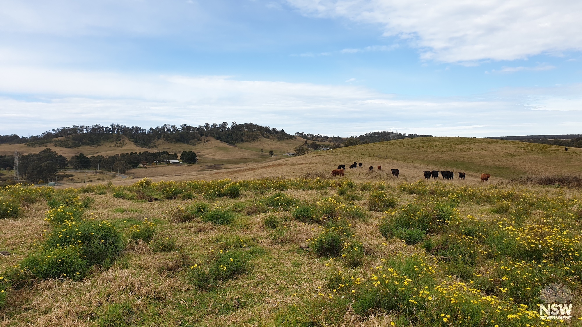View SE from Lachlan Vale archaeological site (Area 3) to ridgeline Dharawal and Gundungurra