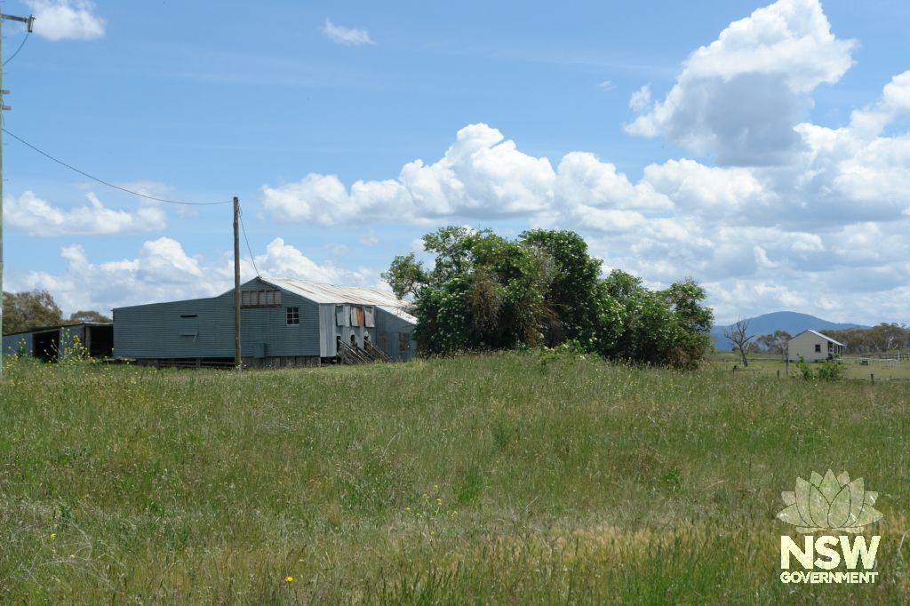 Leesville shearing shed