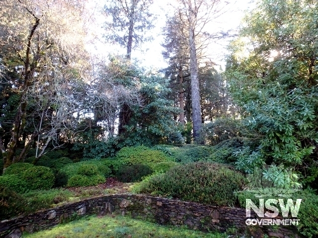 The north-western area of the garden in 2020
