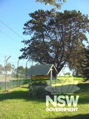 Landscape elements - view of the 'wishing well' in 2004, close to the south-western boundary of the site, with mature pine in the background.