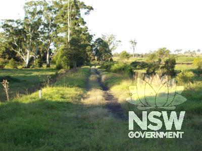 Part of Minmi to Hexham Railway embankment just outside Minmi township