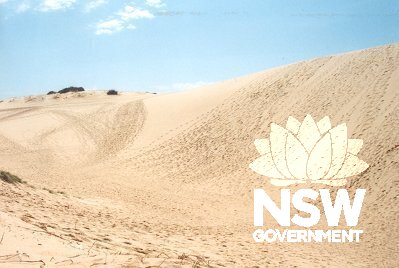 Cronulla sand dune looking north
