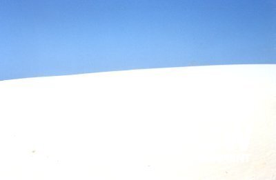 Cronulla sand dune