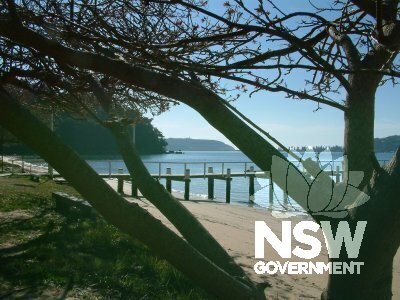 Beach, trees and ferry wharf at Currawong