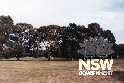 A stand of remnant Forest Red Gum with the former Parade Ground in the Background. (Source: Rathmines Park Conservation Plan, Pratten and Irving 1997)