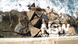 Caption: Newcastle Recreation Reserve, showing Second World War tank traps concealing entry to former convict-driven coal mine drainage adit