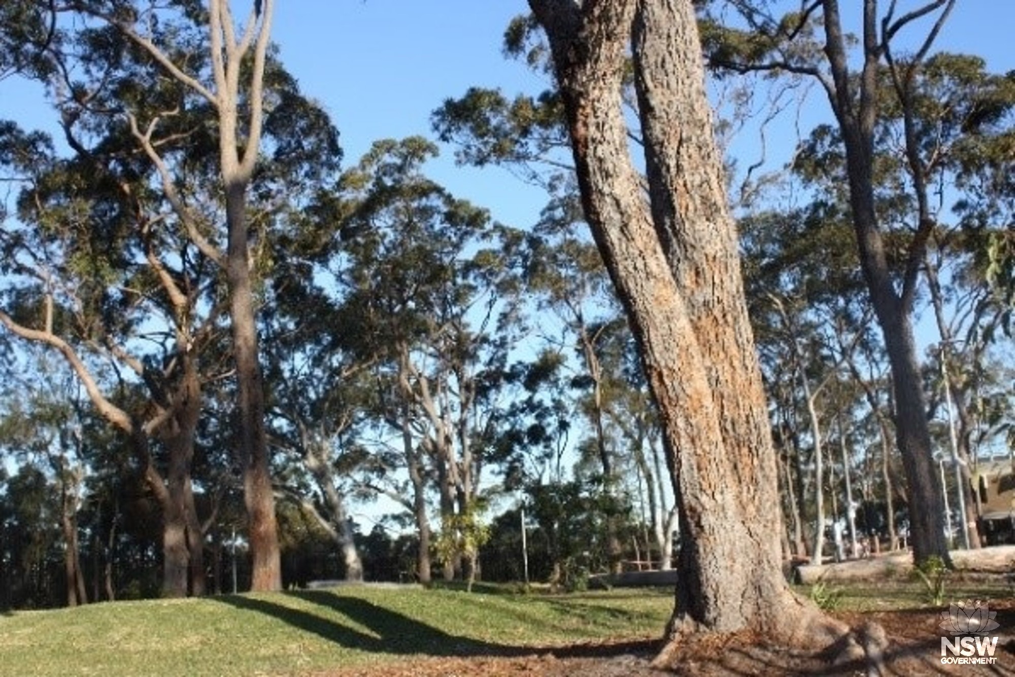 View from Stage 2 building to entry