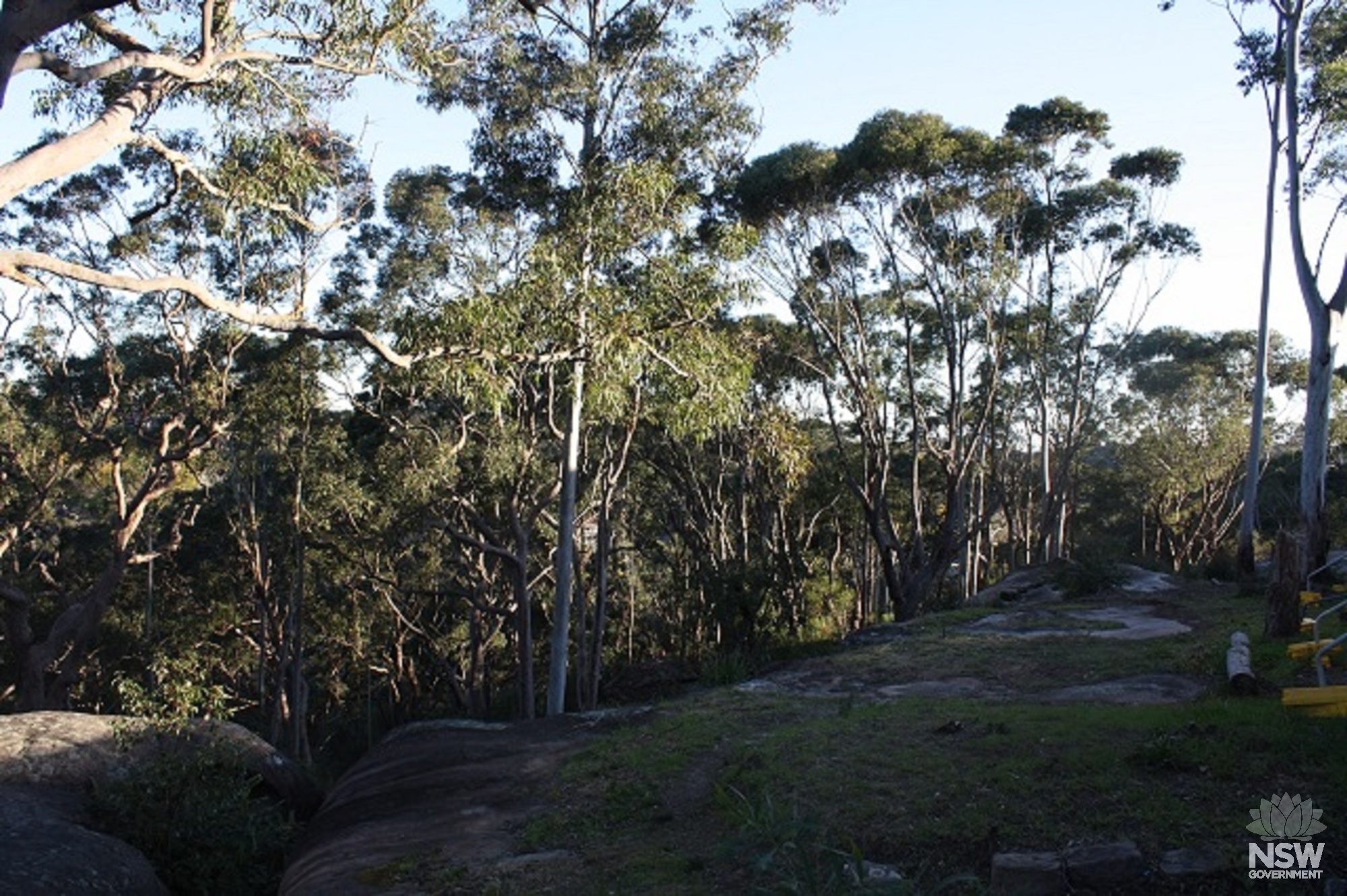 Bushland and sandstone outcrops within the curtilage
