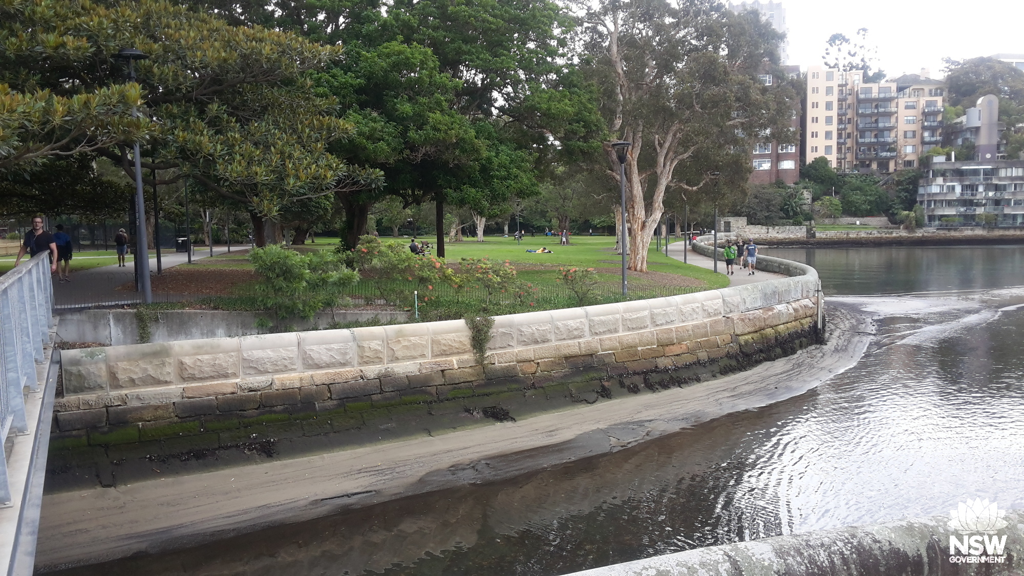 2020 3 26_Rushcutters Bay Park west seawall and parkland_Stuart Read