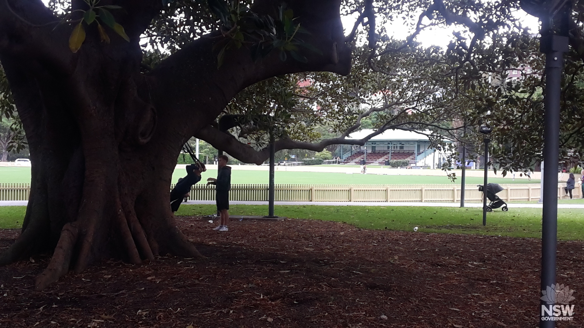 2020 3 26_Rushcutters Bay Park west cricket oval and grandstand_Stuart Read