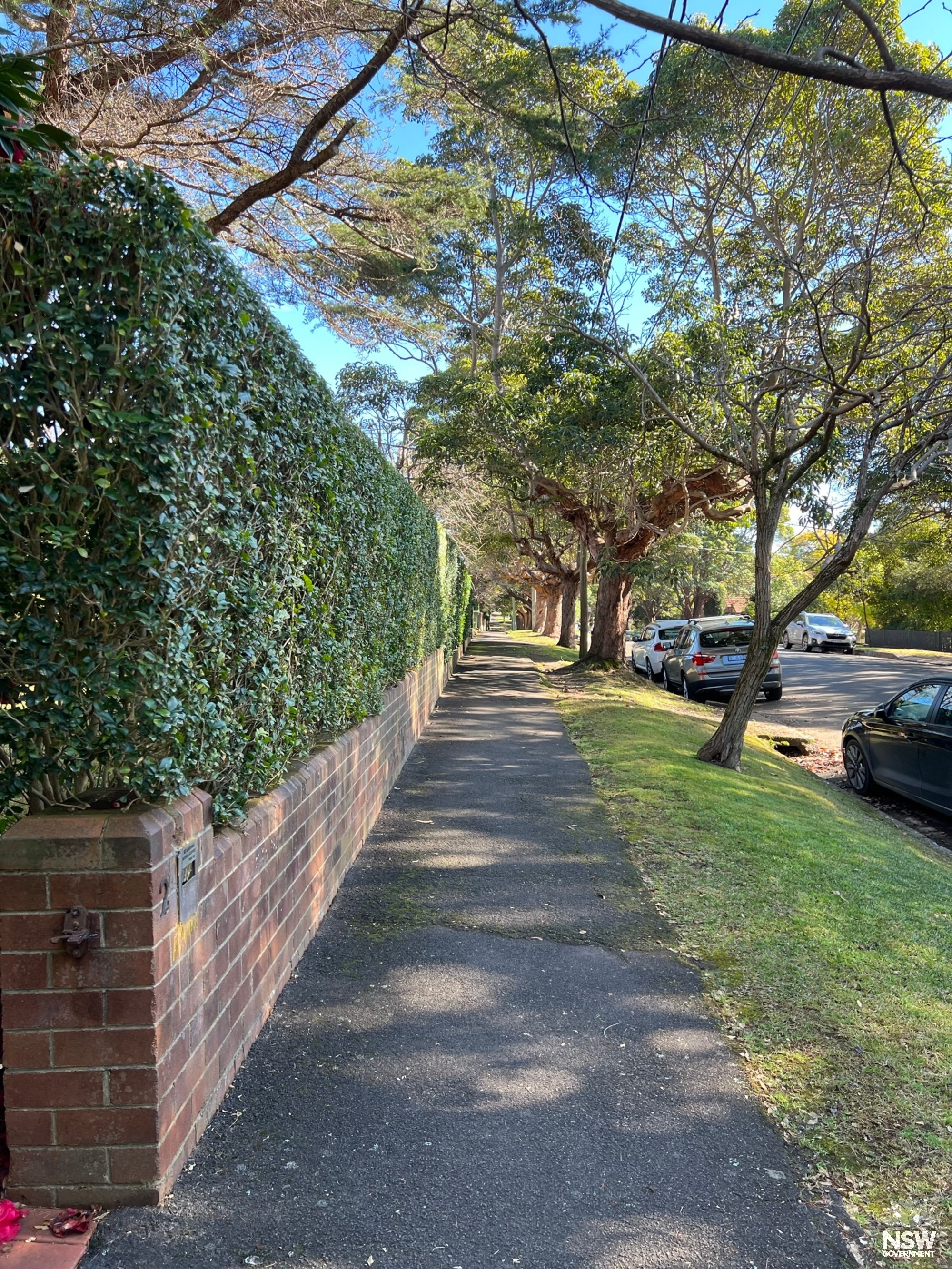 Gerald Avenue fencing