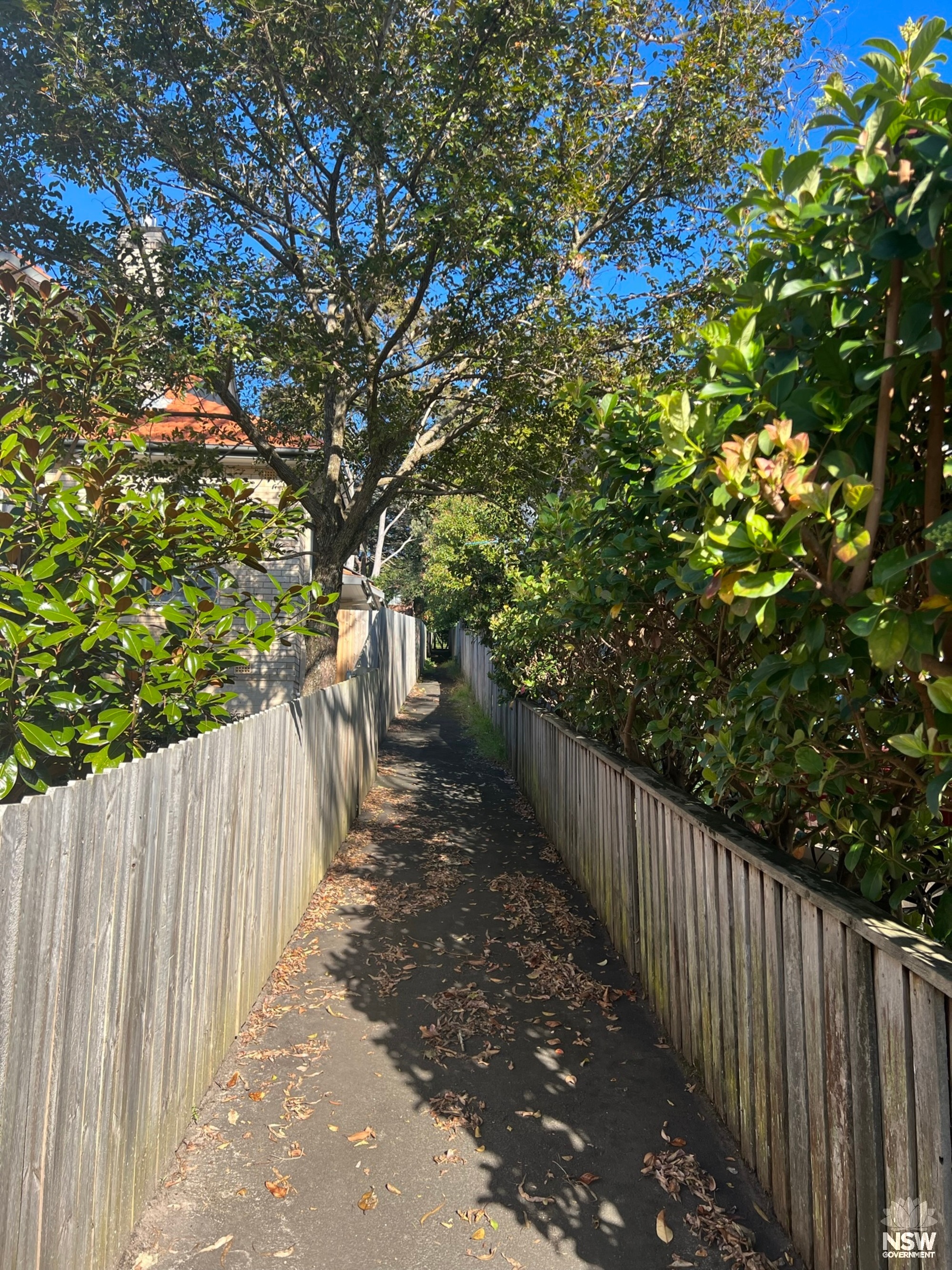 Laneway from Merlin Street to Archbold Road