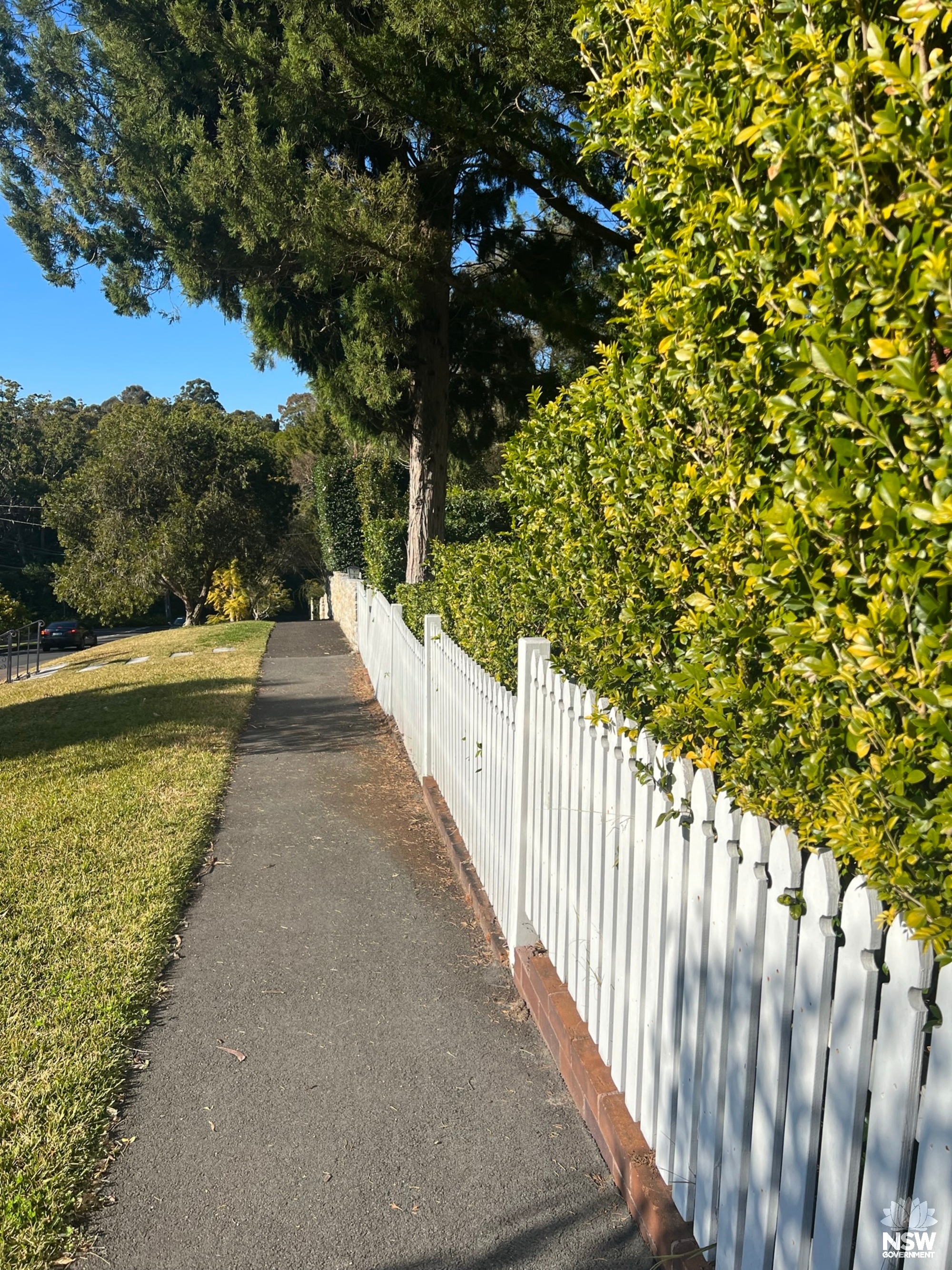 Merlin Street fencing (western side)